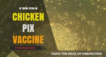 Debunking Myths: Fetal Cells and the Chickenpox Vaccine Explained