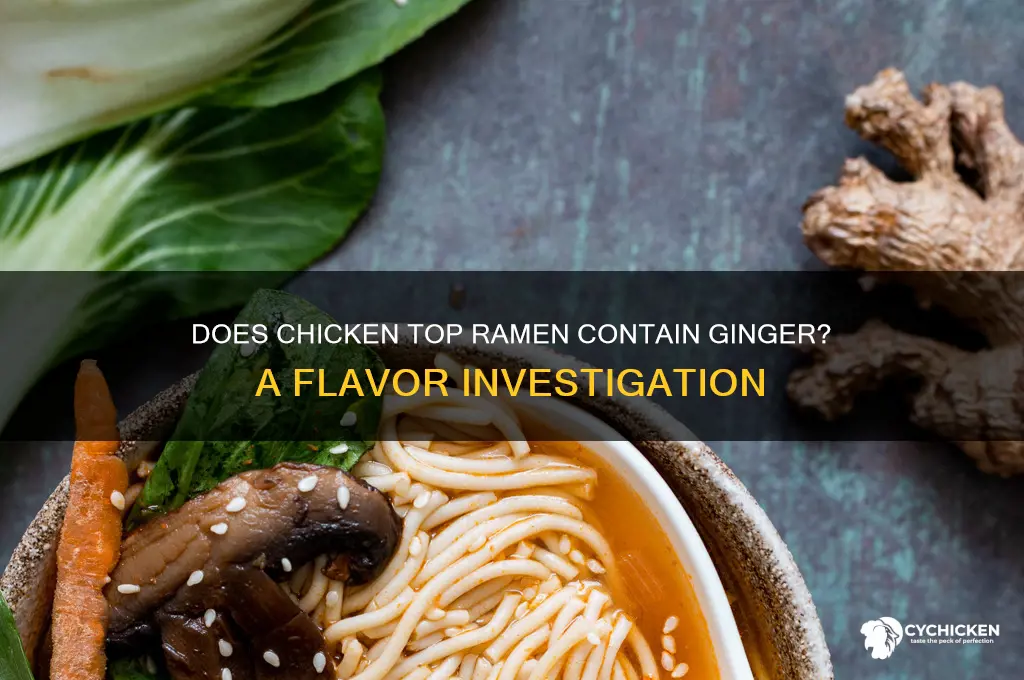 is there ginger in chicken top ramen