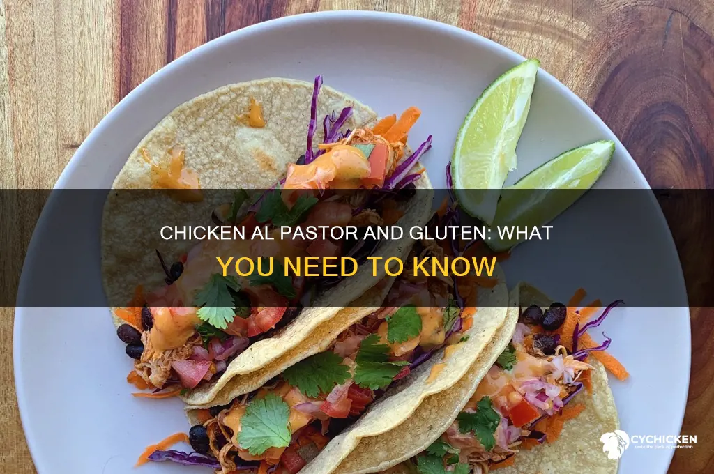 is there gluten in chicken al pastor