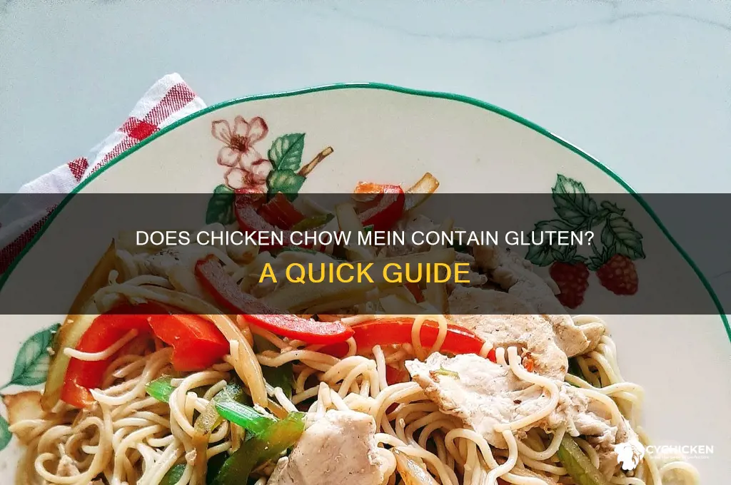 is there gluten in chicken chow mein