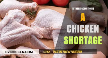 Will Chicken Shortages Hit Soon? Causes, Impact, and What’s Next