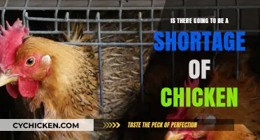 The Impending Chicken Shortage: What's the Deal?