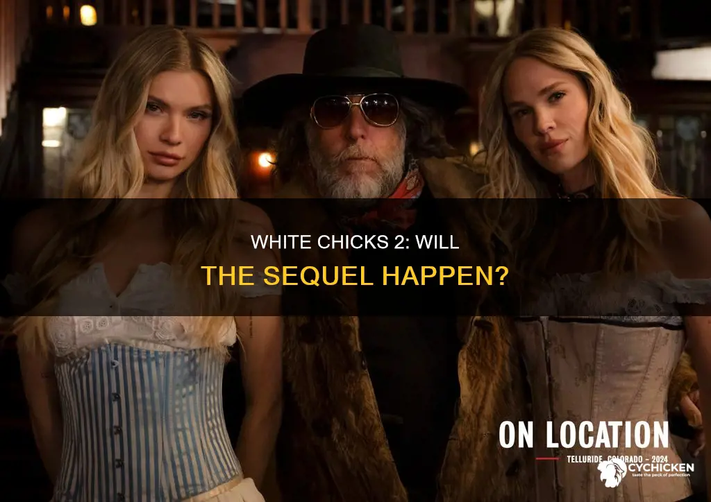 is there going to be a white chicks 2