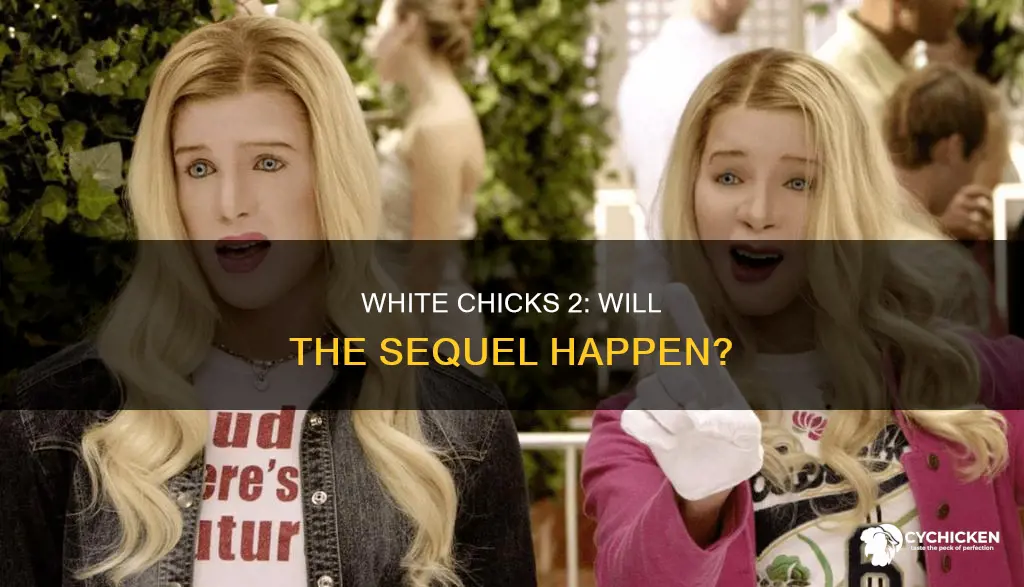is there going to be a white chicks two
