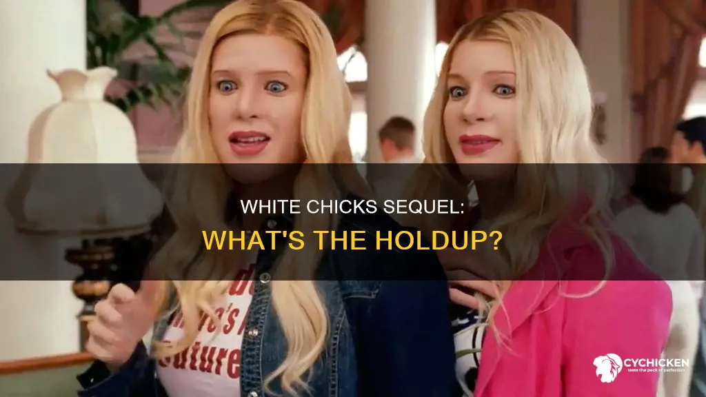 is there going to be another white chicks movie