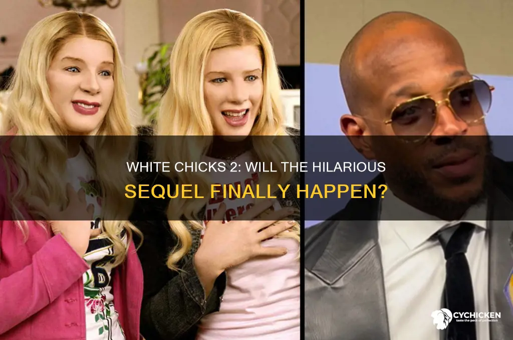 is there gonna be a white chicks 2