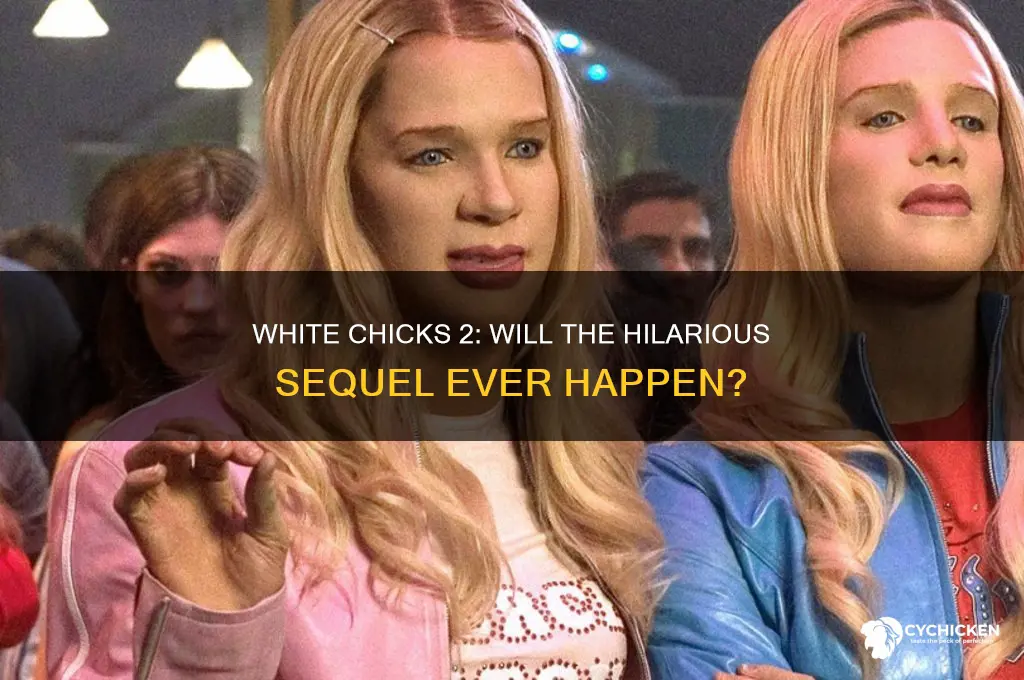 is there gonna be another white chicks