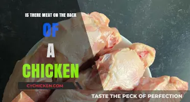 What's on the Back of a Chicken?