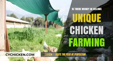 Profitable Unique Chicken Farming: Unlocking Niche Market Opportunities for Success