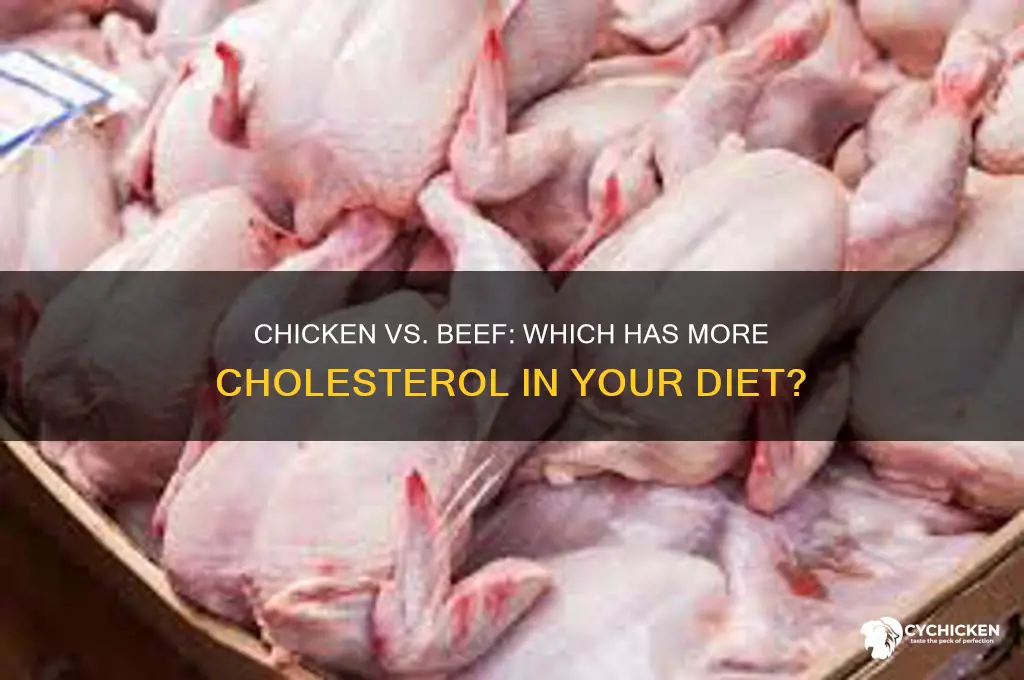 is there more cholesterol in chicken or beef