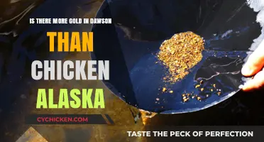 Gold Rush: Dawson vs Chicken, Alaska's Surplus