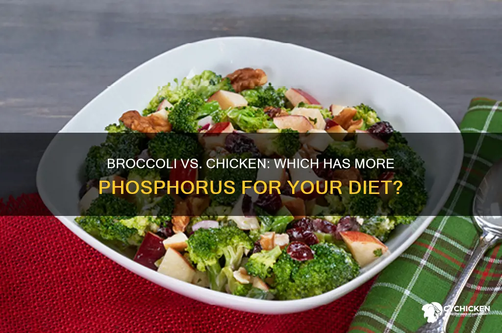 is there more phosphorus in brocolli or chicken