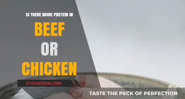 Beef vs. Chicken: Which Offers More Protein for Your Diet?