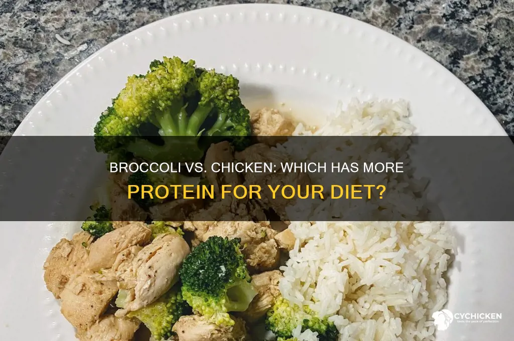 is there more protein in broccoli than chicken