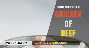 Chicken vs. Beef: Which Protein Source Packs More Punch?