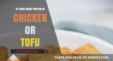 Chicken vs. Tofu: Which Protein Source Packs More Punch?