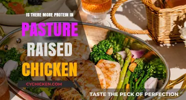 Pasture-Raised Chicken vs. Conventional: Which Has More Protein?