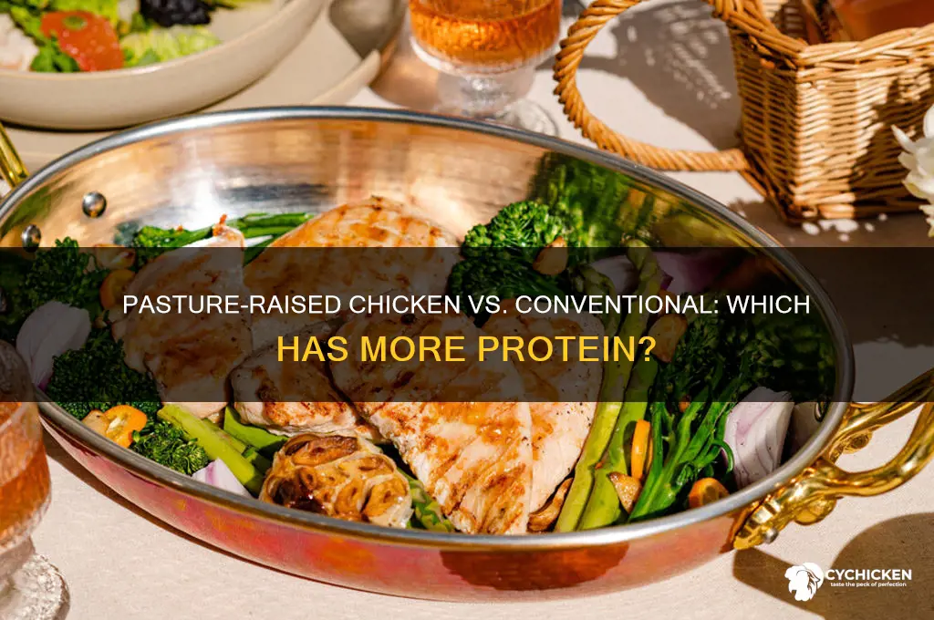 is there more protein in pasture raised chicken