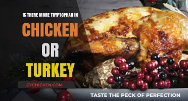 Chicken vs. Turkey: Which Has More Tryptophan for Sleep?