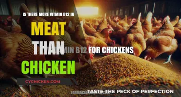 Meat vs. Chicken: Which Has More Vitamin B12?