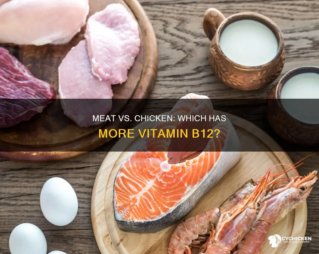 is there more vitmin b12 in meat than chicken