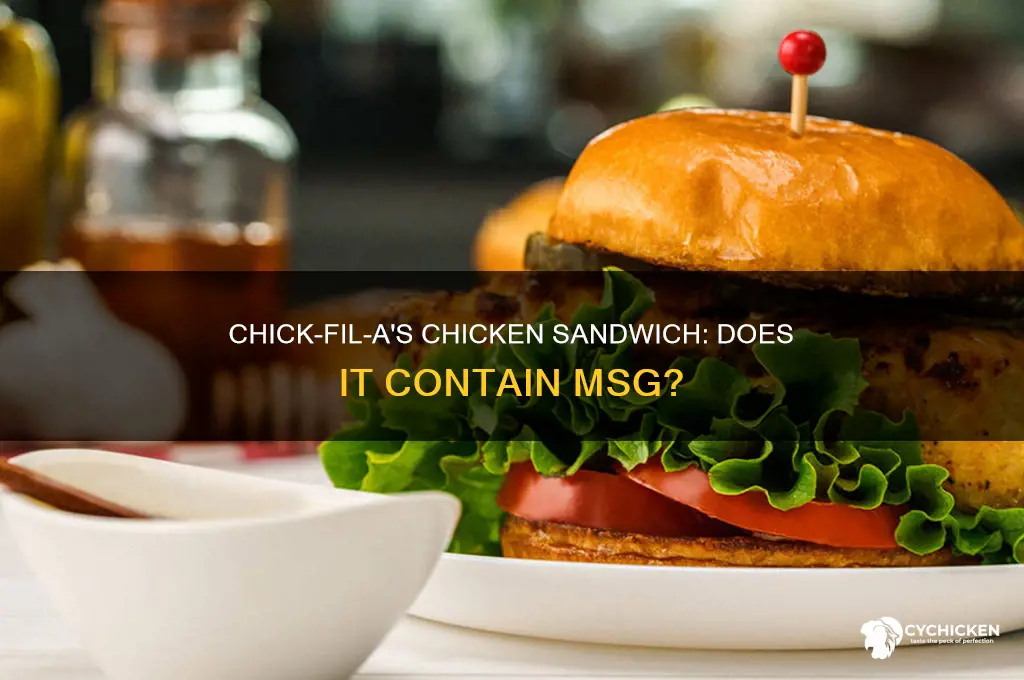 is there msg in a chick-fil-a chicken sandwich