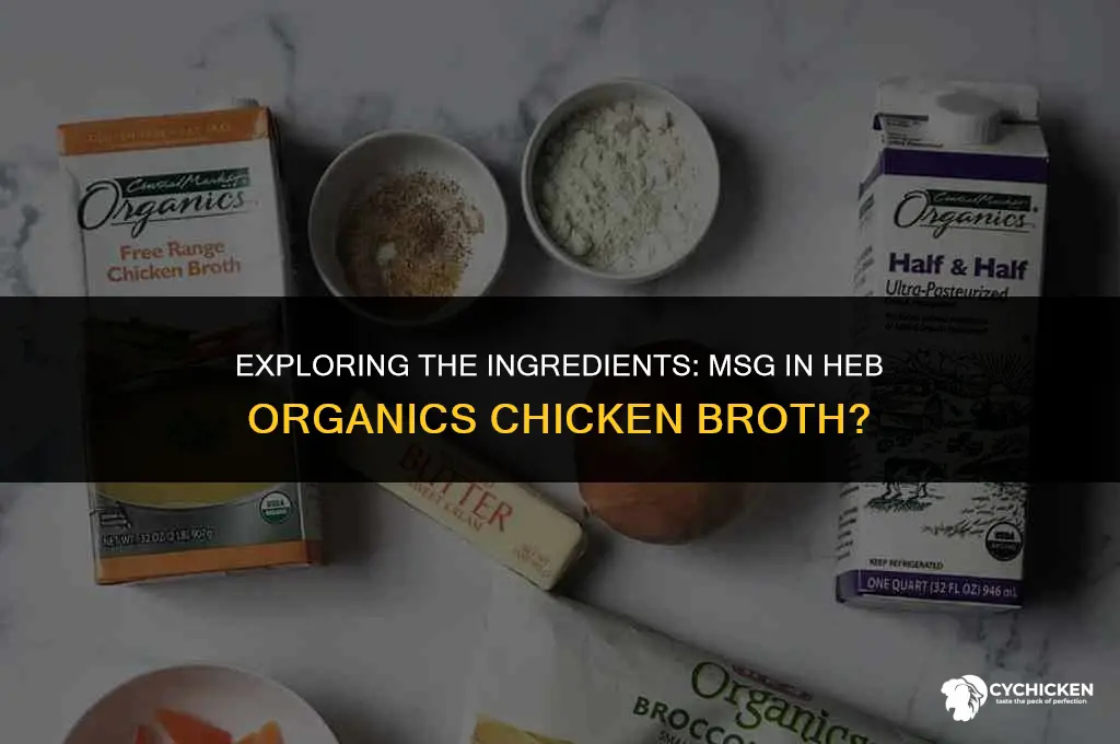 is there msg in heb organics chicken broth