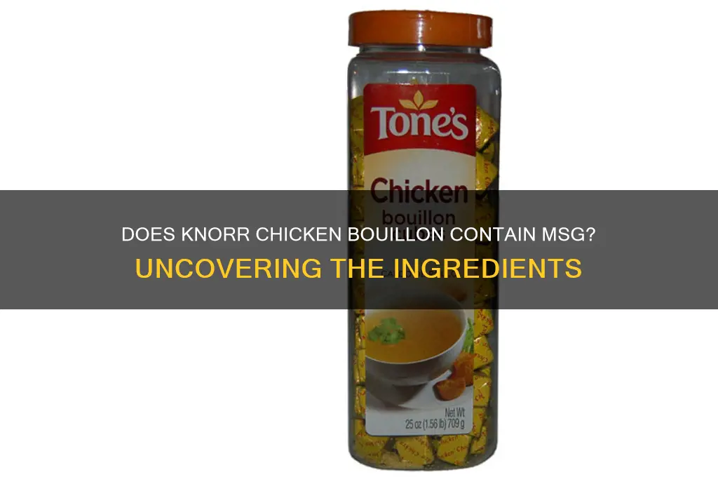 is there msg in knorr chicken bouillon