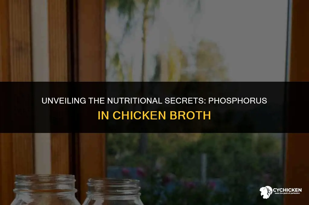 is there phosphorus in chicken broth