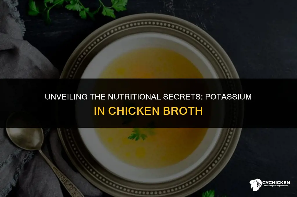 is there potassium in chicken broth