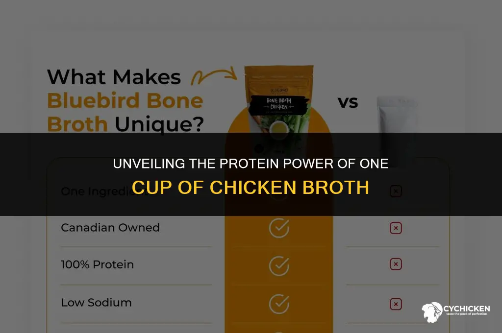is there protein in chicken broth 1 cup