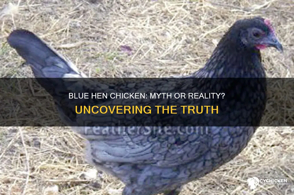 is there really a blue hen chicken