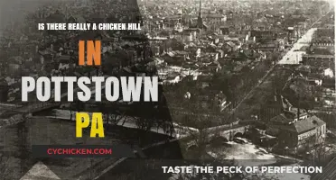 Exploring Pottstown's Chicken Hill: Fact or Fiction?