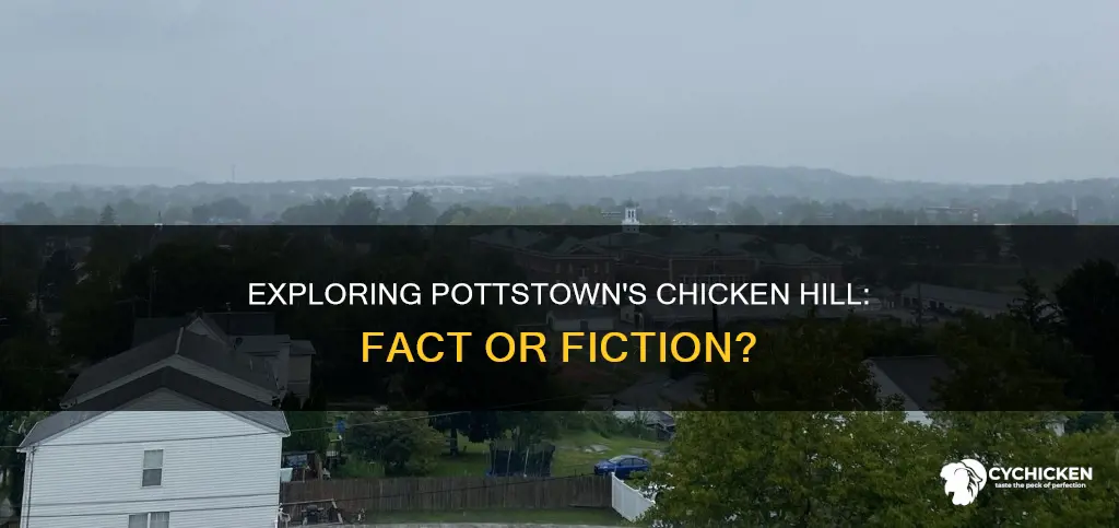 is there really a chicken hill in pottstown pa