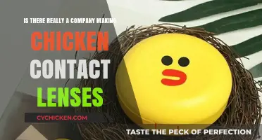 The Weird World of Chicken Contact Lenses