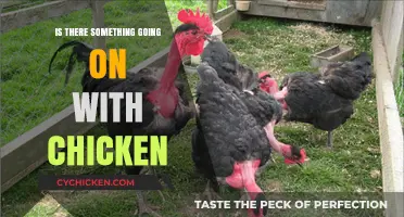 Is There Something Going On with Chicken? Unraveling the Mystery