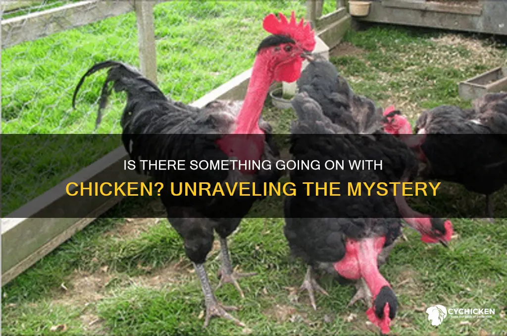 is there something going on with chicken