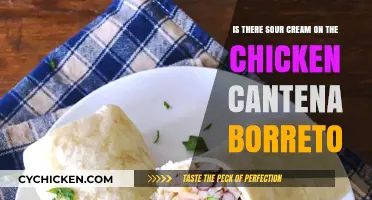 Chicken Cantina Borreto: Sour Cream or No?