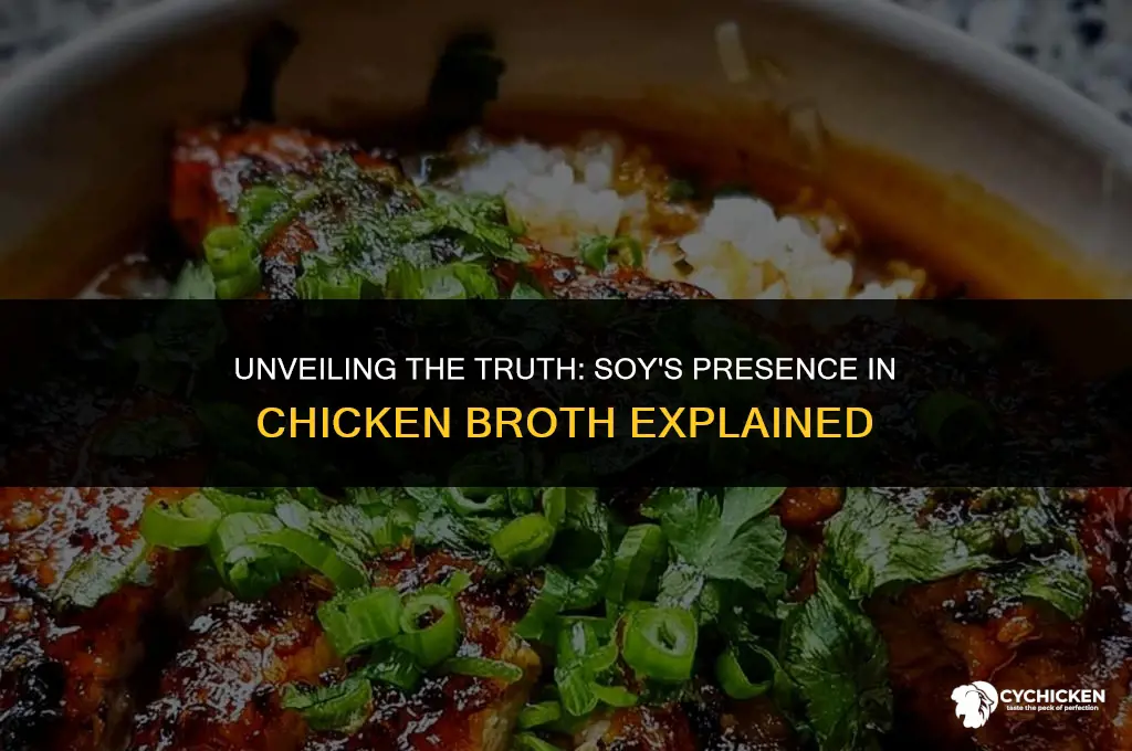 is there soy in chicken broth