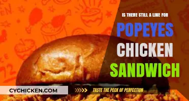 Popeyes Chicken Sandwich Craze: Is the Line Still Worth It?
