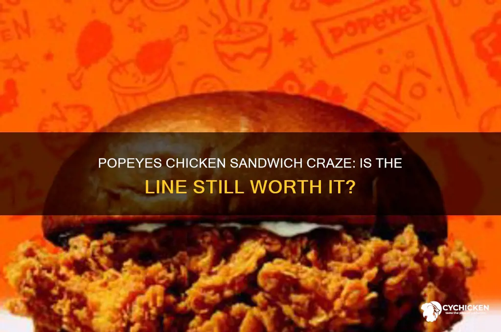 is there still a line for popeyes chicken sandwich