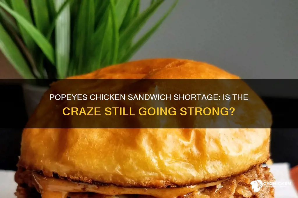 is there still a shortage of popeyes chicken sandwich