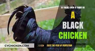 Black Chickens: Myth or Reality?