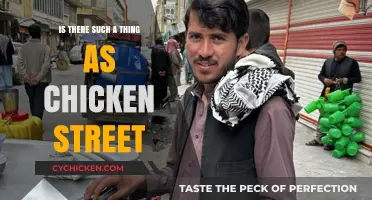 Exploring the Myth: Does Chicken Street Really Exist?