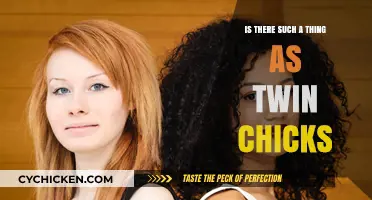 Twin Chicks: Myth or Reality? Exploring Poultry's Rare Phenomenon