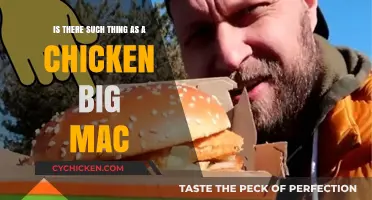 The Chicken Big Mac: A Real Treat?