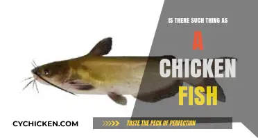 Chicken Fish: Myth or Reality? Exploring the Truth Behind the Name