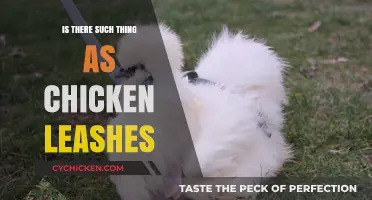 Chicken Leashes: Fact or Fiction? Exploring Poultry Restraint Options
