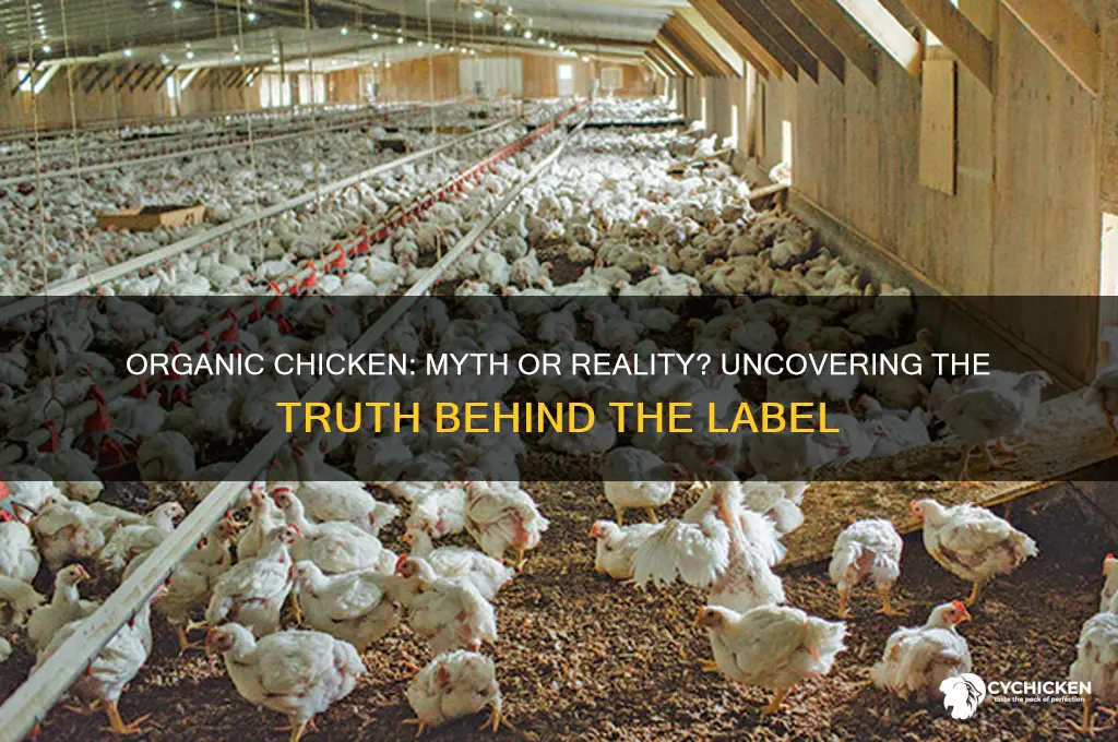 is there such thing as organic chicken