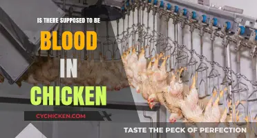 Is Blood in Chicken Normal? Understanding Poultry Processing and Safety